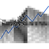 Grupanxon logo - Similar company to Broker In Special Assets