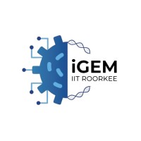 iGEM IIT Roorkee logo - Similar company to Nss Unit 2 - Bit
