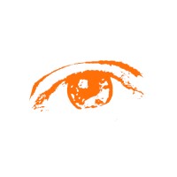 Orange Eye Ltd logo - Similar company to Orange Eyes