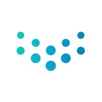 VOXSYS logo - Similar company to Feeling Buggy