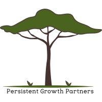 Persistent Growth Partners logo - Similar company to Esan Partners