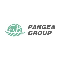 Pangea Group Indonesia logo - Similar company to Sda Consulting Llp