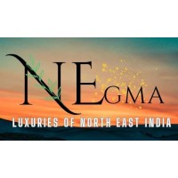 NEgma Luxury logo - Similar company to Ms Technologies Inc.