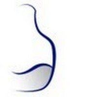 Blue Salt Consulting Corporation