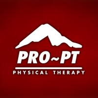 PRO~PT Physical Therapy logo - Similar company to Pro-Pt