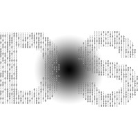 Data Sieger logo - Similar company to Data Value Information Technology Llc