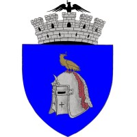 Primăria Câmpulung logo - Similar company to X Party & Networking