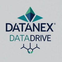 DataNex DataDrive logo - Similar company to Datanex