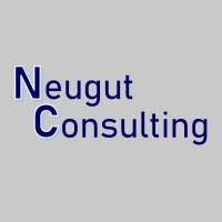 Neugut Consulting logo - Similar company to Nth Degree