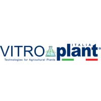 Vitroplantitalia logo - Similar company to Vitroplant Sa