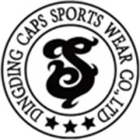 DING DING CAPS SPORTS WEAR CO., LTD logo - Similar company to Ram Quality Products Ltd