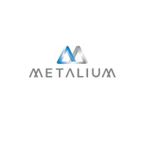 Metalium S.D.R.L de C.V. logo - Similar company to Hr Employment