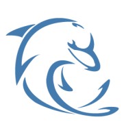 DOLFI formation logo - Similar company to Structure - Batiment