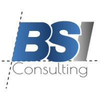 BSI Consulting logo - Similar company to Kane Street Synagogue