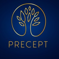 Precept Advisory Ltd logo - Similar company to Devsol Information Systems