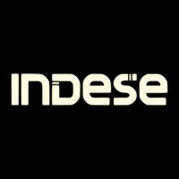 Indese logo - Similar company to Diagnosis Tips