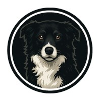 Yoyo Games logo - Similar company to Melonadefx