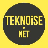 Teknoise.net logo - Similar company to Appfellas