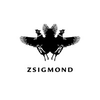 ZSIGMOND logo - Similar company to Cukovy