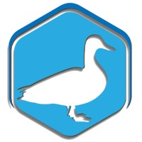 Modgoose