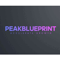 PeakBluePrint logo - Similar company to Sky Analytical Laboratories