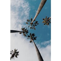 Dream Destinations by Destiny logo - Similar company to Scholaru