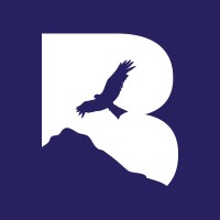 BroadPeak Capital logo - Similar company to Broadpeak Technologies
