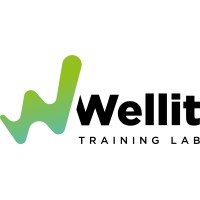 Wellit TL logo - Similar company to Vivra