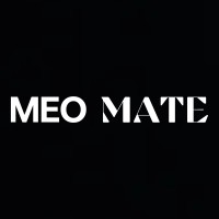 MEO MATE logo - Similar company to Docheart