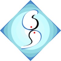 Sabari Systemizing Solutions logo - Similar company to Ponka