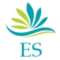 Energy Stream logo - Similar company to Energy Field Engineering Efe