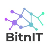 BitnIT logo - Similar company to Bitniti Technologies Pvt Ltd