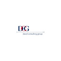 David Consulting Group logo - Similar company to Pp Consulting