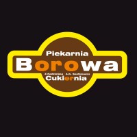 Borowa logo - Similar company to Activenow
