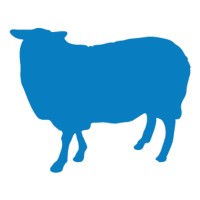 Blue Sheep logo - Similar company to Acquirz