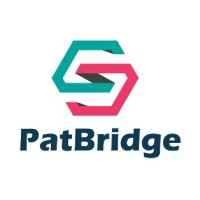 PatBridge IP logo - Similar company to Patent Wise