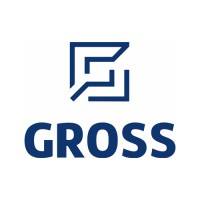 Gross Insurance JSC logo - Similar company to Megahertz