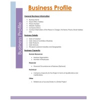 Adlemi Business Consultancy logo - Similar company to Business Development.Kiwi Ltd