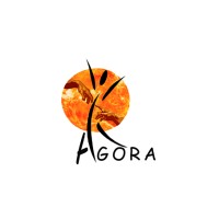 ONG AGORA | Santé Publique logo - Similar company to Ong Ketsa