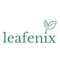 Leafenix LLC logo - Similar company to Techvault Support Service Llp