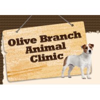 City of Olive Branch