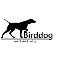 Birddog Workforce Scouting logo - Similar company to Firstech, Llc.