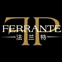 Ferrante & Partners (F&P) 法兰特 logo - Similar company to Vanyork Intelligence