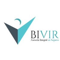 Bivir Ltda