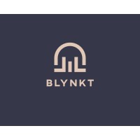 BLYNKT logo - Similar company to Data & Co