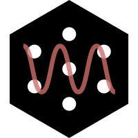 TopoLight logo - Similar company to Expand Power Technologies