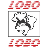 Transportadora Lobo & Lobo logo - Similar company to Mms Logística