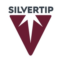 Silvertip Completion Services logo - Similar company to Api Perforating