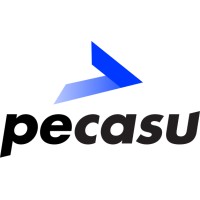 Pecasu logo - Similar company to Carpal