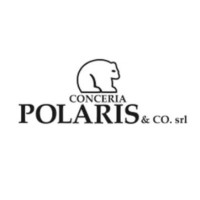 Conceria Polaris & Co. S.R.L. logo - Similar company to Pellegrini Group